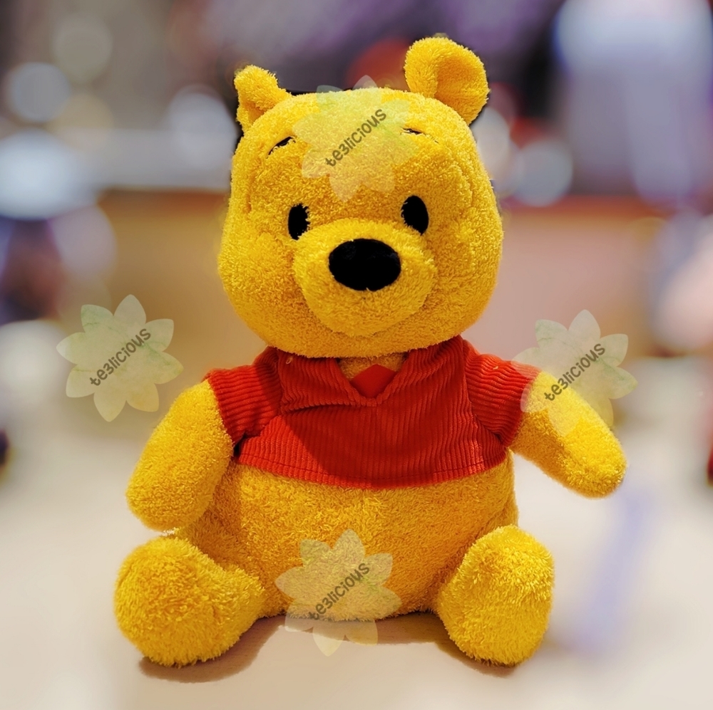 DISNEY PARKS POOH EMOTIONAL WEIGHTED PLUSH - Picture 1 of 6